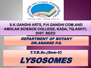 Discovering Lysosomes in Cell Biology