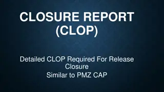 Petroleum Release Closure Categorization and Soil Remediation Guidance