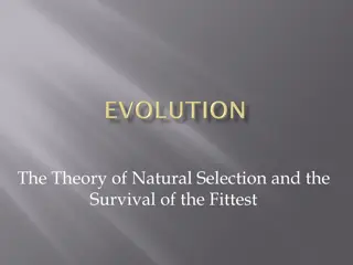 Theory of Natural Selection & Survival of the Fittest Overview