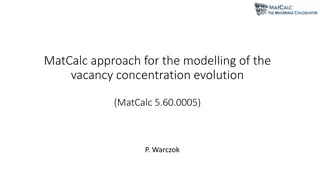Modelling Vacancy Concentration Evolution