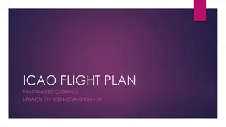 ICAO FLIGHT PLAN