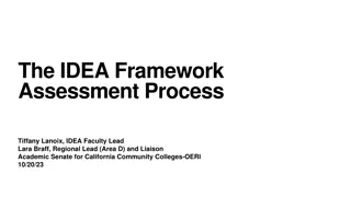IDEA Framework Assessment Process Overview