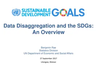 Data Disaggregation and the SDGs: An Overview