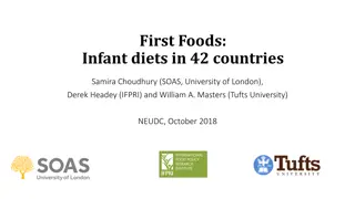 Infant Diets in 42 Countries: Understanding Introduction of Solid Foods