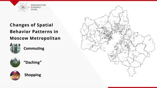 Spatial Behavior Patterns in Moscow Metropolitan Area: Commuting & Shopping Trends