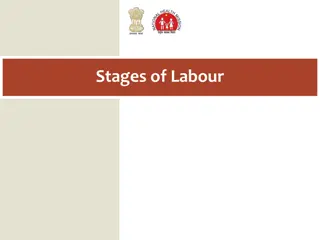 Stages of Labour