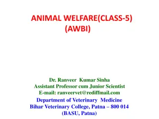 ANIMAL WELFARE(CLASS-5)