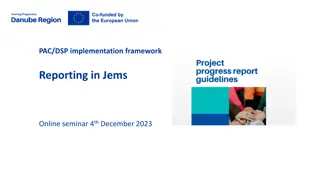 Reporting in Jems