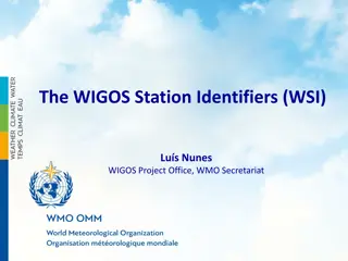 Overview of WIGOS Station Identifiers
