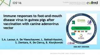 Immune Responses to Foot-and-Mouth Disease Virus in Guinea Pigs After Vaccination
