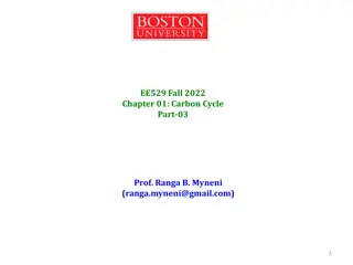Global Carbon Cycle and Carbon Budgets Overview