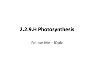 Role of NADP in Photosynthesis