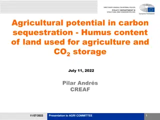 Agricultural Potential in Carbon Sequestration