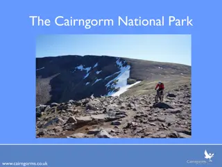 Discover the Majestic Cairngorms National Park
