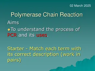 Polymerase Chain Reaction: Amplifying DNA Samples Efficiently