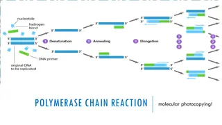 Polymerization Reactions and Mechanisms