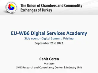 EU-WB6 Digital Services Academy