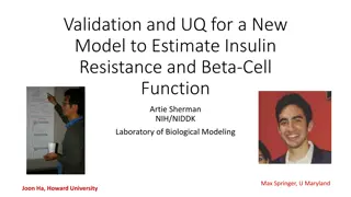 Validation of New Model for Insulin Resistance Estimation