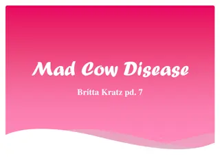 Mad Cow Disease: Causes, Symptoms, Prevention, and Sources