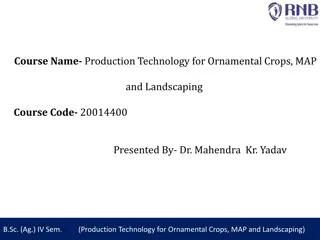 Production Technology for Ornamental Crops and Landscaping