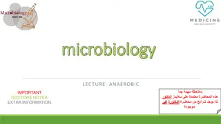 Anaerobic Bacteria: Characteristics and Infections