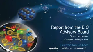 EIC Advisory Board Oversight and Guidance