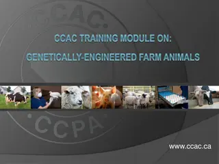 Training Module on Genetically-Engineered Farm Animals