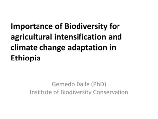 Importance of Biodiversity for Agricultural Intensification in Ethiopia