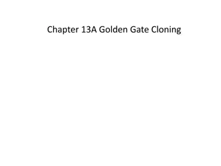 Efficient Golden Gate Cloning Techniques
