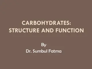 Carbohydrates: Structure and Function Overview