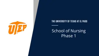 Nursing Phase 2 Application and Requirements