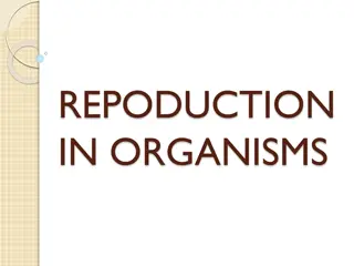Types of Reproduction in Organisms