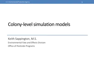 Colony-Level Simulation Models in Environmental Protection