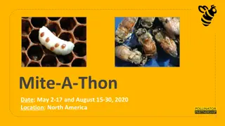 Mite-A-Thon: Bee Colony Varroa Infestations Awareness Campaign