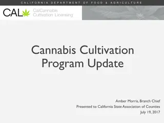 Cannabis Cultivation Program Update