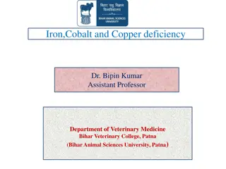 Iron,Cobalt and Copper deficiency