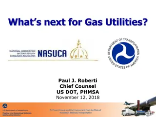 Gas Utilities: Challenges and Solutions