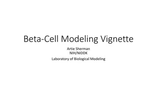 Beta-Cell Modeling Vignette