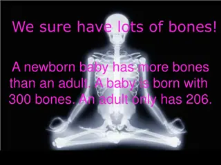 We sure have lots of bones!