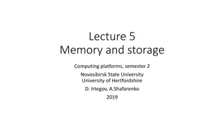 Memory and Storage in Computing Platforms