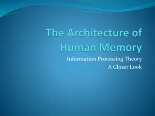 Insights into Information Processing Theory