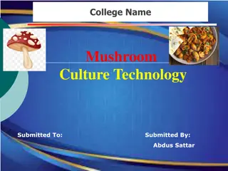 Four-Year Sales Trends: Fresh Mushrooms Analysis