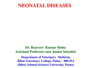 Calf Scours & Treatment