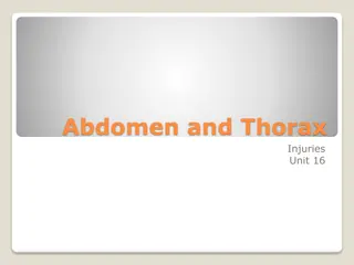Abdomen and Thorax Injuries Overview