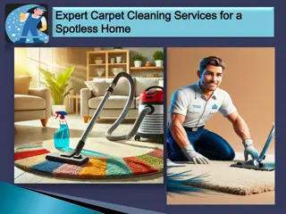 Expert Carpet Cleaning Services for a Spotless Home