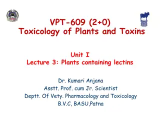 Toxicology of Plants: Lectins and Their Toxic Effects