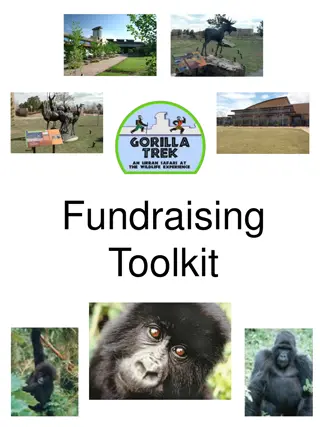 Fundraising Toolkit for Gorilla Conservation