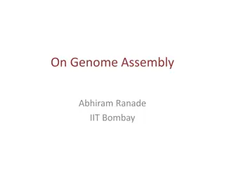 On Genome Assembly