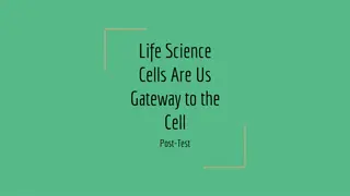 Cell Functions & Membrane Structure