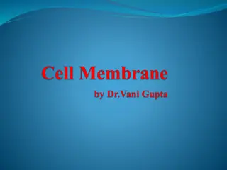 Gateway to the Cell: Nerve Cells & Cell Membrane Functions